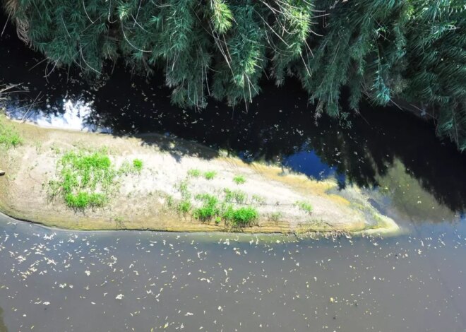 Gediz Nehri’nin Kirliliği İçin Acil Çözüm Çağrısı